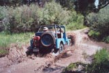A Willys Jeep Wash - Cherokee Park Trip Slideshow