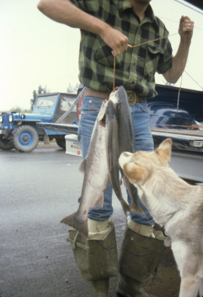 Mike and Smokey checking out some salmon