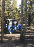 The Blue Mule in Leadville