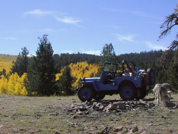 viewing the aspen on aspen ridge