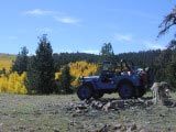 Golden Aspen Viewing on Aspen Ridge