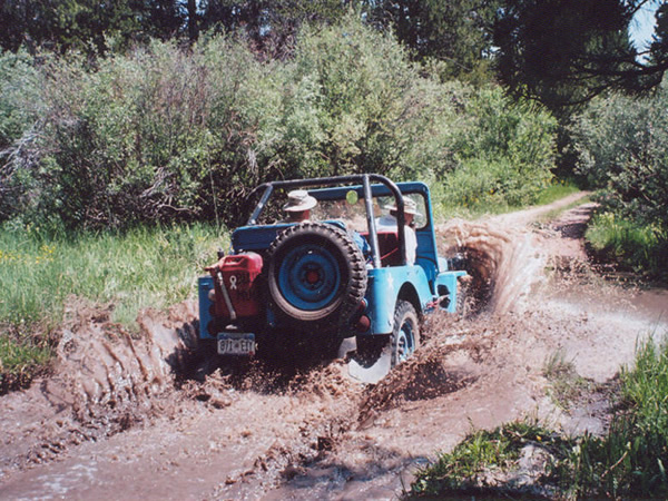 Slide 12 - Playing in the Water with the Blue Mule