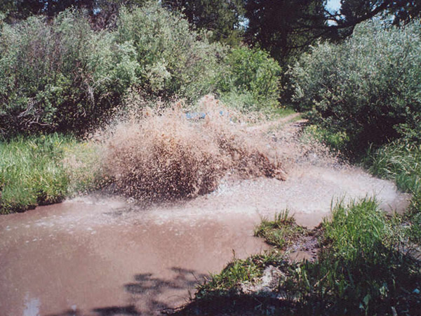 Slide 14 - Playing in the Water with the Blue Mule