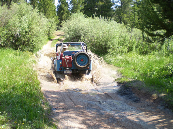 Slide 15 - Playing in the Water with the Blue Mule