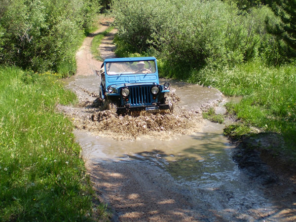 Slide 17 - Playing in the Water with the Blue Mule