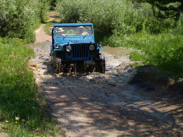 Slide 18 - Playing in the Water with the Blue Mule