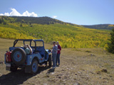 Large Aspen stand on Aspen Ridge