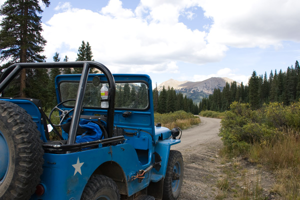 Blue Mule at Hancock