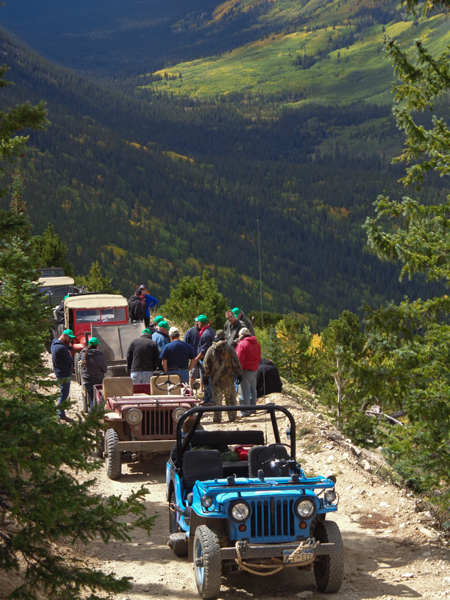 Lined up on side trail in South Cottonwood